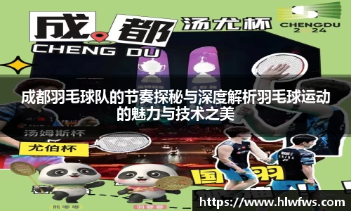 成都羽毛球队的节奏探秘与深度解析羽毛球运动的魅力与技术之美